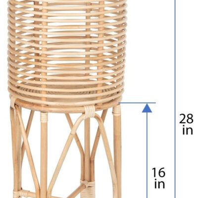 Plant Rattan